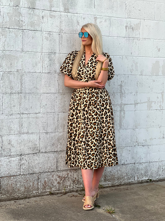 LEOPARD LOVE